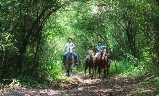 Rutas a caballo de montaña